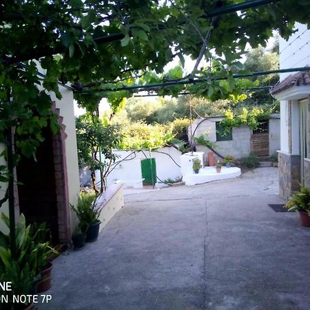 Casa El Pino Guest House Cortes de la Frontera Ngoại thất bức ảnh