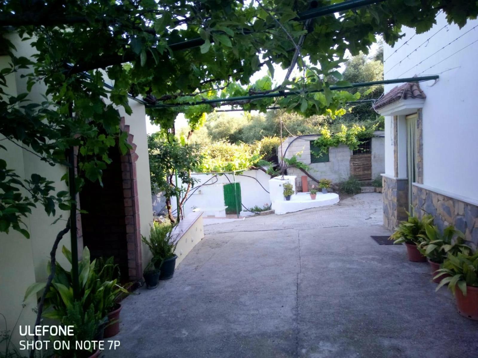 Casa El Pino Guest House Cortes de la Frontera Ngoại thất bức ảnh