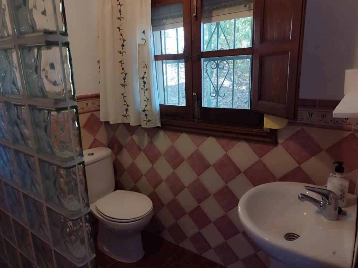 Casa El Pino Guest House Cortes de la Frontera Ngoại thất bức ảnh