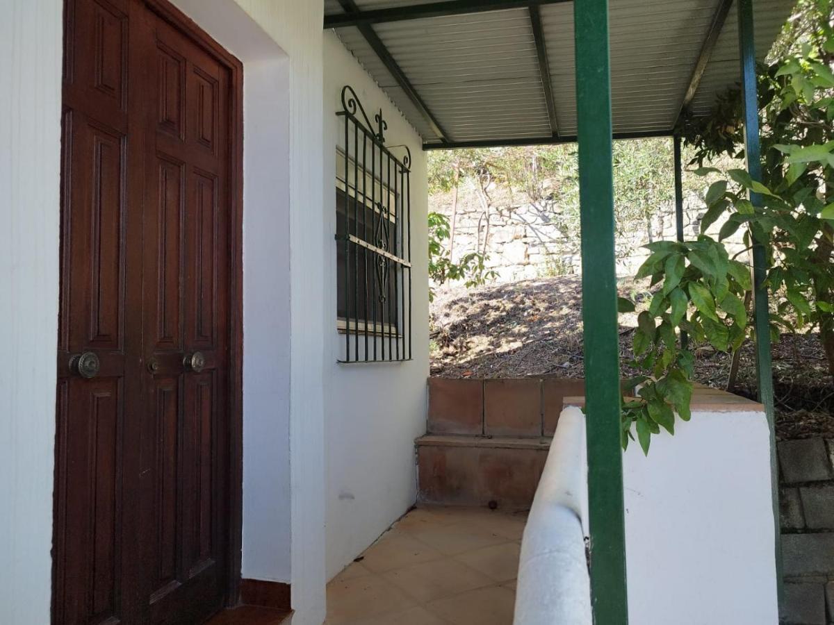 Casa El Pino Guest House Cortes de la Frontera Ngoại thất bức ảnh