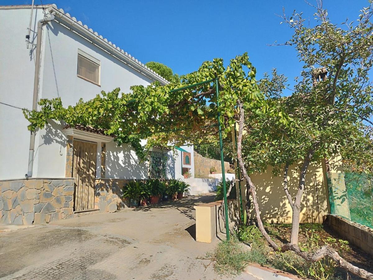 Casa El Pino Guest House Cortes de la Frontera Ngoại thất bức ảnh