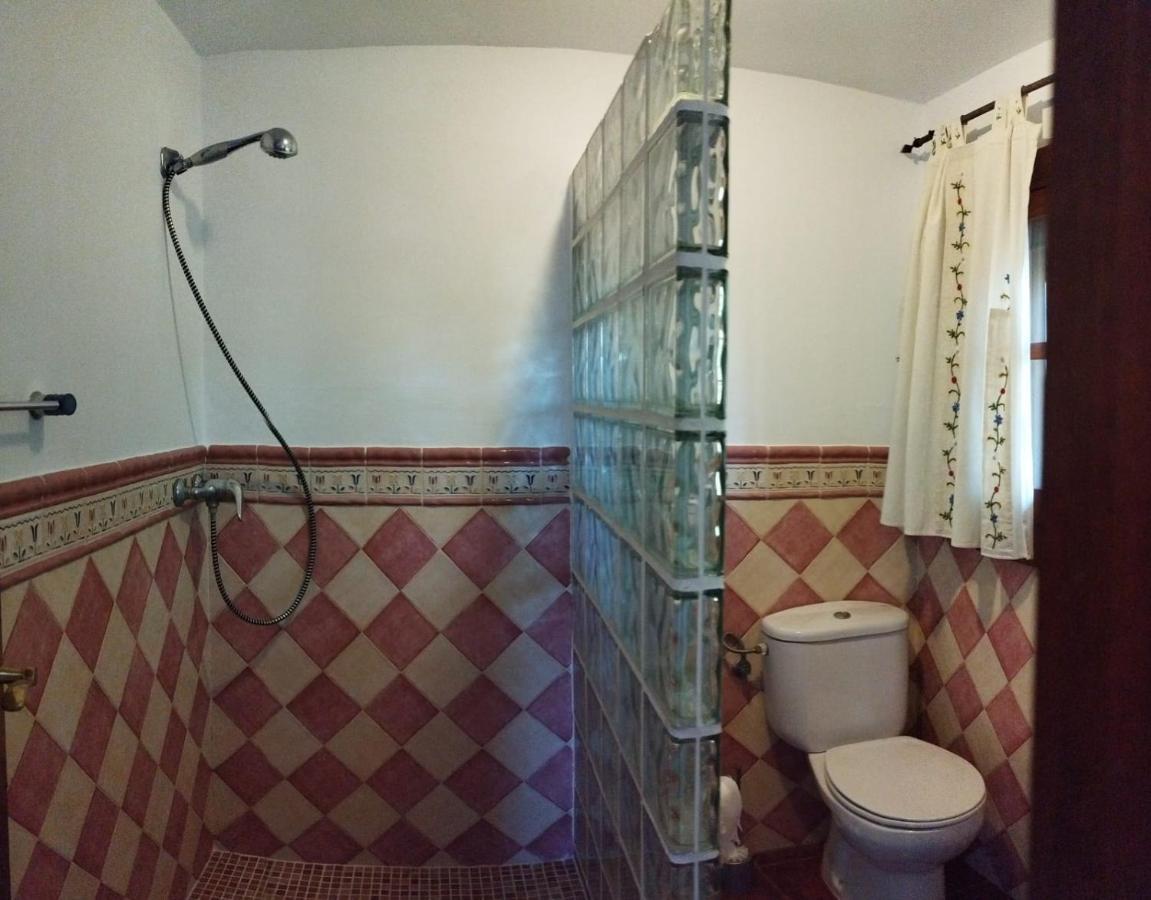 Casa El Pino Guest House Cortes de la Frontera Ngoại thất bức ảnh