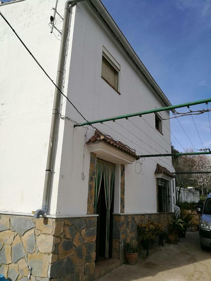 Casa El Pino Guest House Cortes de la Frontera Ngoại thất bức ảnh