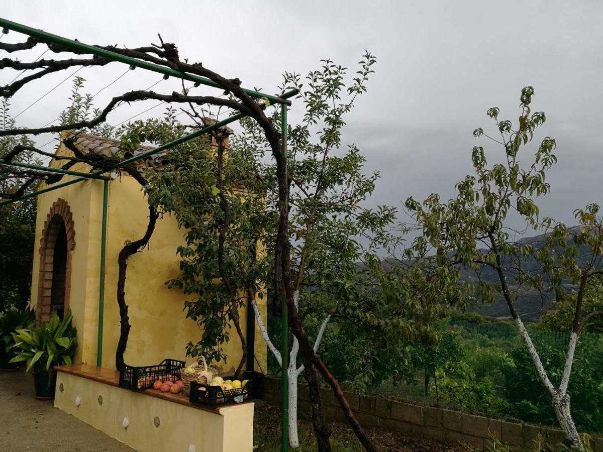 Casa El Pino Guest House Cortes de la Frontera Ngoại thất bức ảnh