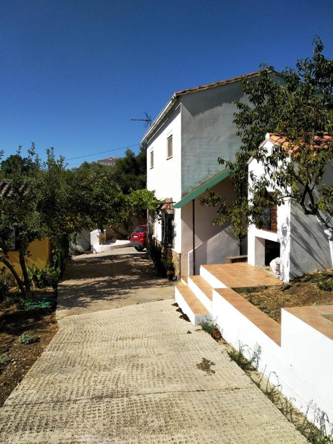 Casa El Pino Guest House Cortes de la Frontera Ngoại thất bức ảnh