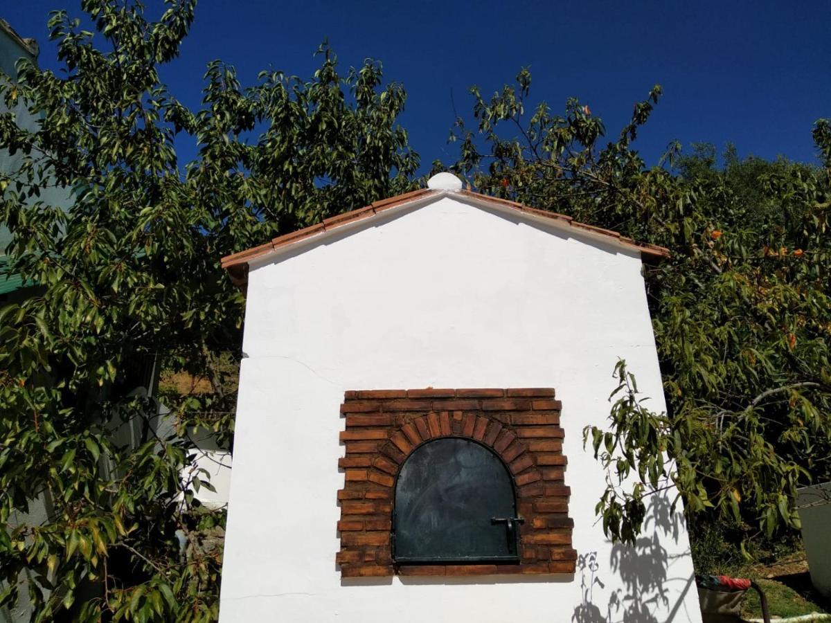 Casa El Pino Guest House Cortes de la Frontera Ngoại thất bức ảnh