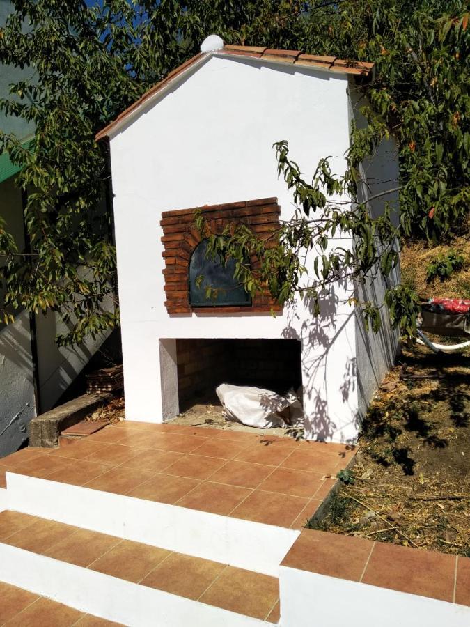 Casa El Pino Guest House Cortes de la Frontera Ngoại thất bức ảnh