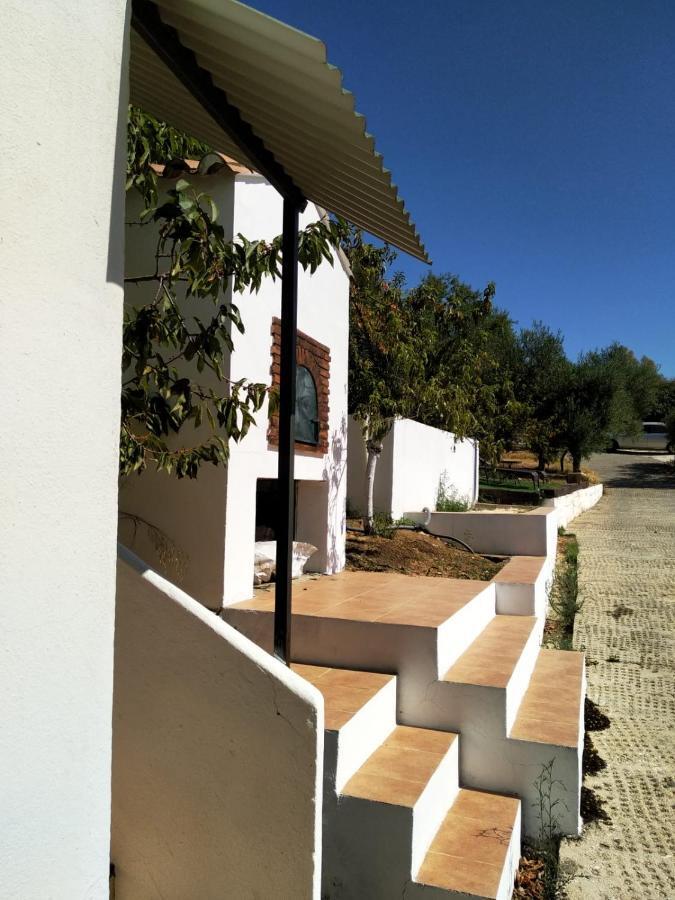 Casa El Pino Guest House Cortes de la Frontera Ngoại thất bức ảnh